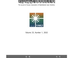 레이저치의학회 논문 발표